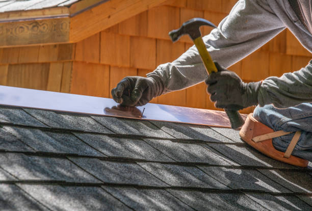 Best Metal Roofing Installation  in Farmer City, IL
