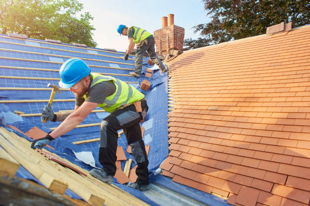 Steel Roofing in Farmer City, IL